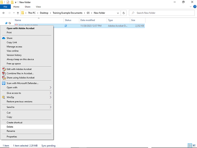 Screen image of this step