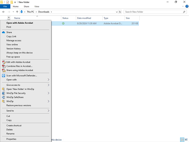 Screen image of this step