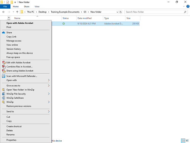 Screen image of this step